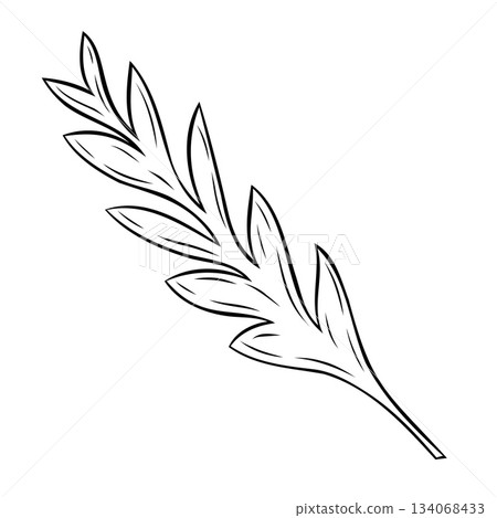 Monochrome botanical branch with leaves. Graphic line art hand drawn ink black and white vector illustration Monochrome botanical branch with leaves. Graphic line art hand drawn ink black and white vector illustration 134068433