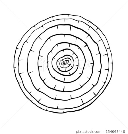 Onion slice, onion rings monochrome botanical fragrant vegetable drawing illustration. Isolated. Graphic hand drawn ink black and white vector. Good for cooking, medicinal, menu, garden, package 134068448