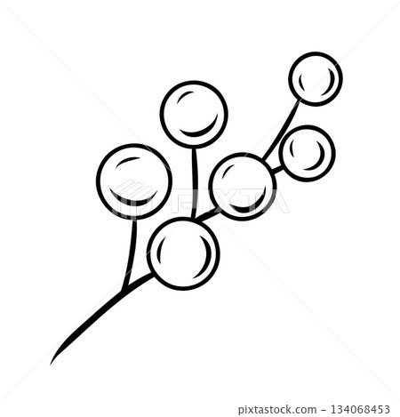 Monochrome botanical Christmas berries. Graphic line art hand drawn ink black and white vector illustration Monochrome botanical Christmas berries. Graphic line art hand drawn ink black and white vector illustration 134068453