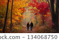 A couple strolls together, holding hands, along a picturesque path surrounded by vibrant autumn foliage. The warm colors of fall create a serene and romantic atmosphere during the late afternoon. A couple strolls together, holding hands, along a picturesque path surrounded by vibrant autumn foliage. The warm colors of fall create a serene and romantic atmosphere during the late afternoon. 134068750