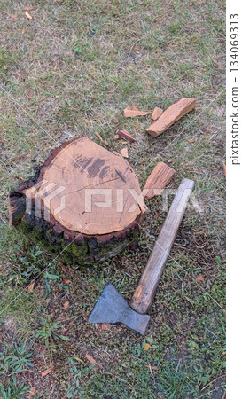 Seasonal yard task involving chopping fallen logs and clearing wood debris Seasonal yard task involving chopping fallen logs and clearing wood debris 134069313