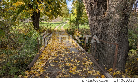 Peaceful outdoor setting featuring aged oak and mosscovered bridge 134069338