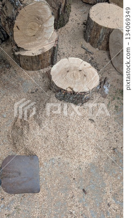 Outdoor workspace featuring freshly cut logs and sawdust residue 134069349