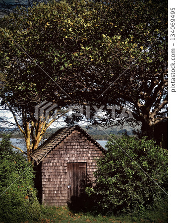 Kenya Photographers By Antony Trivet Photography 134069495