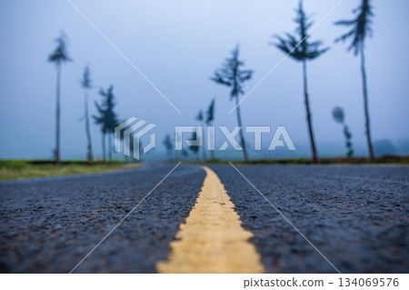 Kenya Photographers By Antony Trivet Photography 134069576