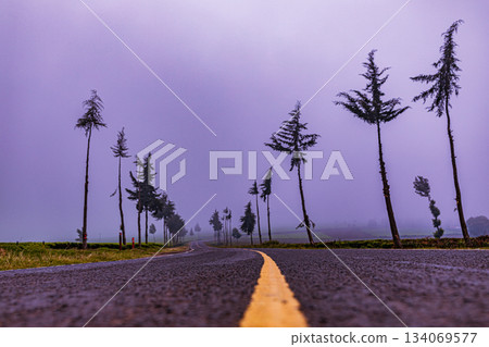 Kenya Photographers By Antony Trivet Photography 134069577