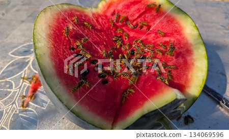 Fresh sliced watermelon ready for outdoor summer enjoyment 134069596