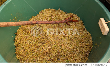 visual of grape fermentation process, detailed scene of fresh grape mash preparing for wine 134069657