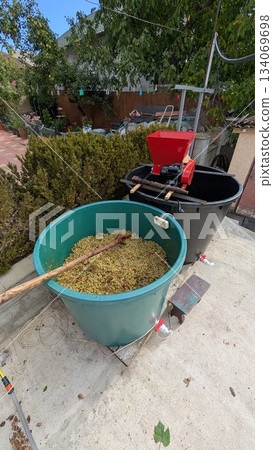 outdoor vineyard scene showing manual grape crushing and fermentation equipment with natural aromas outdoor vineyard scene showing manual grape crushing and fermentation equipment with natural aromas 134069698