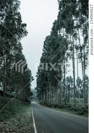 Kenya Photographers By Antony Trivet Photography Kenya Photographers By Antony Trivet Photography 134069827