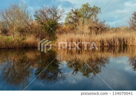 autumn lake scene with vibrant foliage reflecting on calm water, surrounded by lush grasses and trees, capturing the essence of nature's seasonal beauty 134070041