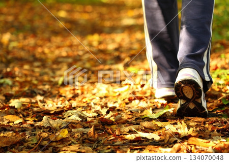 Woman walking cross country trail in autumn forest Woman walking cross country trail in autumn forest 134070048