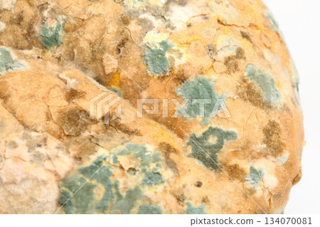 Mould growing on old bread Mould growing on old bread 134070081