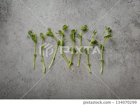 Fresh pea shoots scattered gray concrete background healthy fibre superfood 134070299
