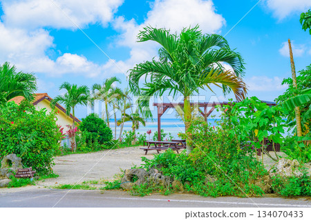 石垣島度假村花園景色，藍天碧海，風光旖旎。 134070433