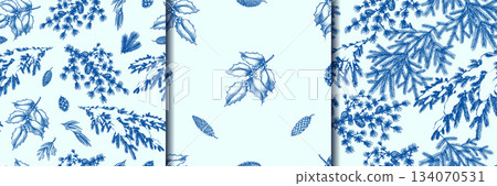 Blue Christmas and winter natural wooden patterns. Pine tree cone, fir branches and holly bush plant 134070531