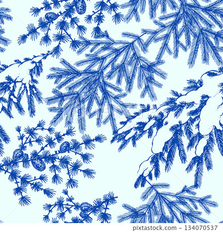 Blue Christmas and winter natural wooden patterns. Pine tree cone, fir branches and holly bush plant 134070537