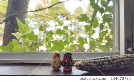 The view from the window: green ivy and corn 134070723