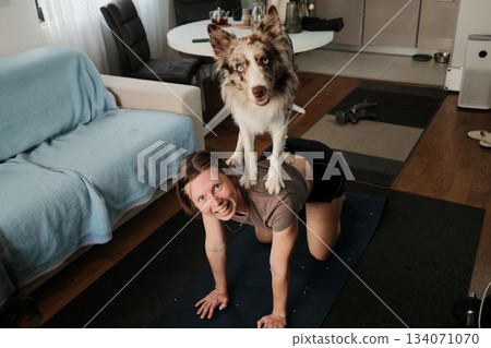 A woman kneels on a mat while a border collie stands on her back. The moment captures energy, humor, and the strong bond between them A woman kneels on a mat while a border collie stands on her back. The moment captures energy, humor, and the strong bond between them 134071070