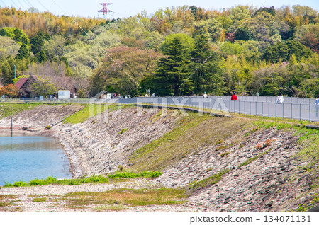 伊坂水壩自行車公園(三重縣四日市)美麗的綠色植物 伊坂水壩自行車公園(三重縣四日市)美麗的綠色植物 134071131