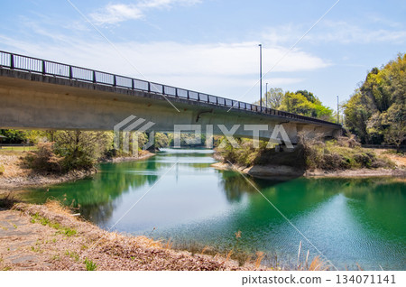 Beautiful fresh greenery at Isaka Dam Cycle Park (Yokkaichi City, Mie Prefecture) 134071141