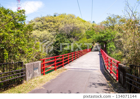 Beautiful fresh greenery at Isaka Dam Cycle Park (Yokkaichi City, Mie Prefecture) Beautiful fresh greenery at Isaka Dam Cycle Park (Yokkaichi City, Mie Prefecture) 134071144