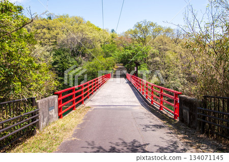 Beautiful fresh greenery at Isaka Dam Cycle Park (Yokkaichi City, Mie Prefecture) 134071145