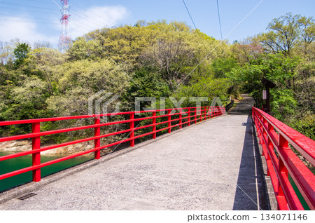 Beautiful fresh greenery at Isaka Dam Cycle Park (Yokkaichi City, Mie Prefecture) 134071146