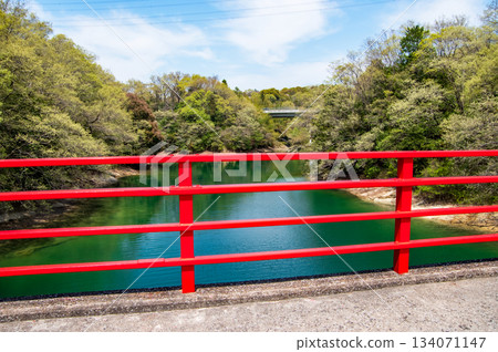 伊坂水壩自行車公園(三重縣四日市)美麗的綠色植物 伊坂水壩自行車公園(三重縣四日市)美麗的綠色植物 134071147