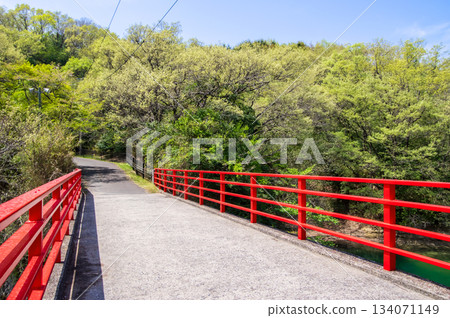 伊坂水壩自行車公園(三重縣四日市)美麗的綠色植物 伊坂水壩自行車公園(三重縣四日市)美麗的綠色植物 134071149