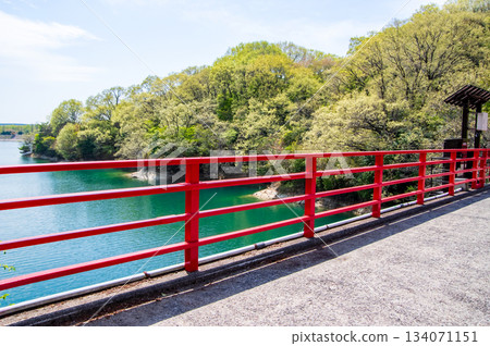 Beautiful fresh greenery at Isaka Dam Cycle Park (Yokkaichi City, Mie Prefecture) Beautiful fresh greenery at Isaka Dam Cycle Park (Yokkaichi City, Mie Prefecture) 134071151