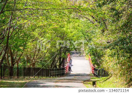 Beautiful fresh greenery at Isaka Dam Cycle Park (Yokkaichi City, Mie Prefecture) 134071154