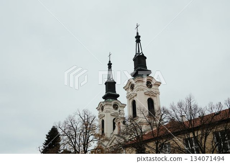Tall church spires in Sremski Karlovci, Serbia, rising above bare trees and rooftops. A concept of faith, heritage, and European architecture Tall church spires in Sremski Karlovci, Serbia, rising above bare trees and rooftops. A concept of faith, heritage, and European architecture 134071494