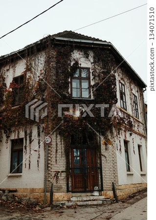 An entire corner building wrapped in dense ivy shows strong character and age. The scene conveys heritage and rustic charm. Sremski Karlovci town in Serbia in autumn season 134071510