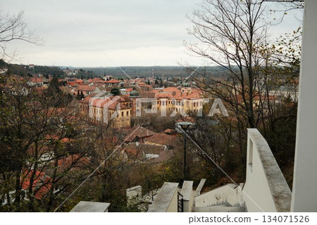City rooftops and yellow historic building seen from a staircase among bare autumn trees. The frame captures heritage and seasonal calm. Sremski Karlovci town in Serbia in autumn season City rooftops and yellow historic building seen from a staircase among bare autumn trees. The frame captures heritage and seasonal calm. Sremski Karlovci town in Serbia in autumn season 134071526