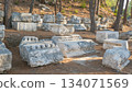 A stone block with decoration in the ruins of the ancient city of Phaselis in Lycia in modern Turkey 134071569