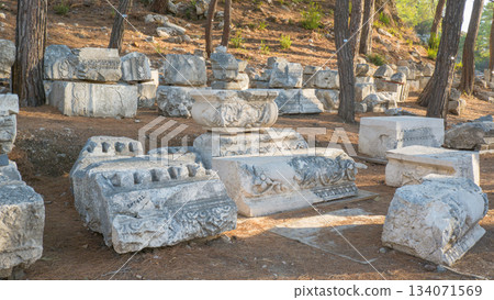 A stone block with decoration in the ruins of the ancient city of Phaselis in Lycia in modern Turkey 134071569