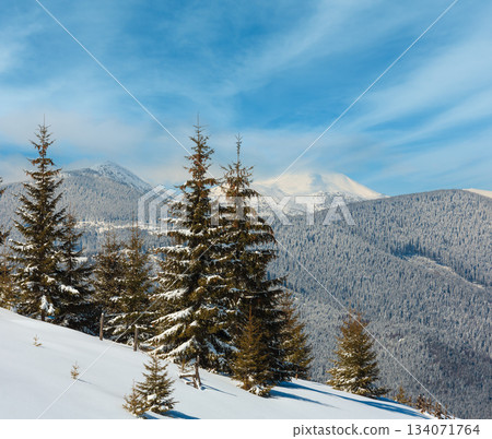 Winter snowy Carpathian mountains, Ukraine Winter snowy Carpathian mountains, Ukraine 134071764