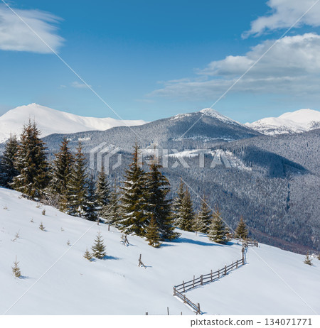 Winter snowy Carpathian mountains, Ukraine 134071771