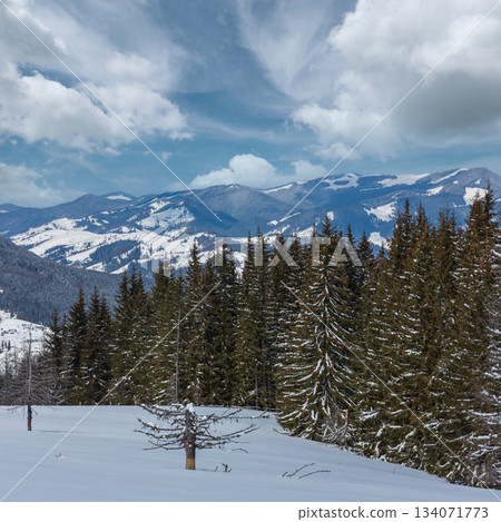 Winter snowy Carpathian mountains, Ukraine Winter snowy Carpathian mountains, Ukraine 134071773