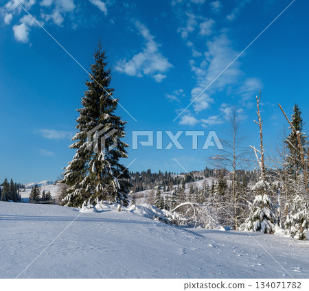 Countryside hills, groves and farmlands in winter remote alpine mountain village Countryside hills, groves and farmlands in winter remote alpine mountain village 134071782