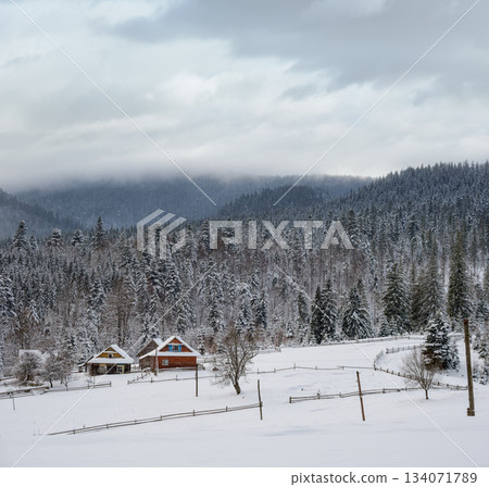 Countryside hills, groves and farmlands in winter remote alpine mountain village Countryside hills, groves and farmlands in winter remote alpine mountain village 134071789