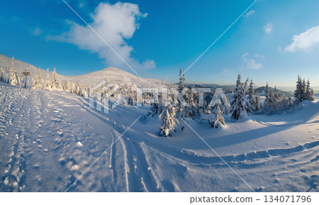 Alpine resortr ski lift with seats going over the sunrise mountain skiing freeride slopes and fir tree groves Alpine resortr ski lift with seats going over the sunrise mountain skiing freeride slopes and fir tree groves 134071796