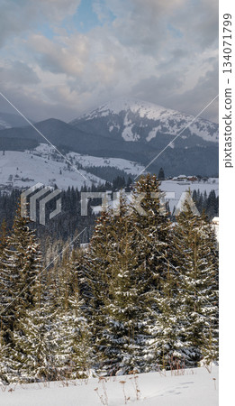 Winter remote alpine mountain village outskirts, countryside hills, groves and farmlands. Winter remote alpine mountain village outskirts, countryside hills, groves and farmlands. 134071799