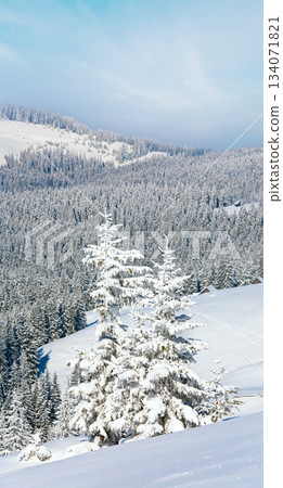 winter mountain landscape winter mountain landscape 134071821