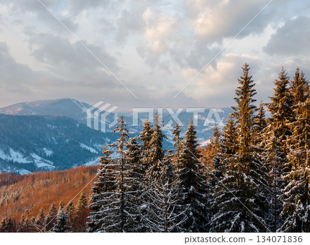 Winter twilight mountain snowy landscape Winter twilight mountain snowy landscape 134071836