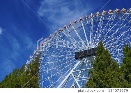 巨型摩天輪 巨型摩天輪 134071979