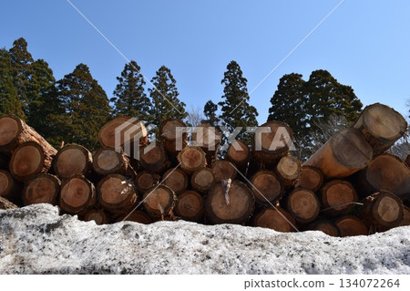 Sugi log snowfall cut out 134072264