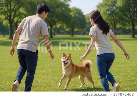 A peaceful recreational activity between a Japanese couple and their Shiba Inu playing on the grass A peaceful recreational activity between a Japanese couple and their Shiba Inu playing on the grass 134072468