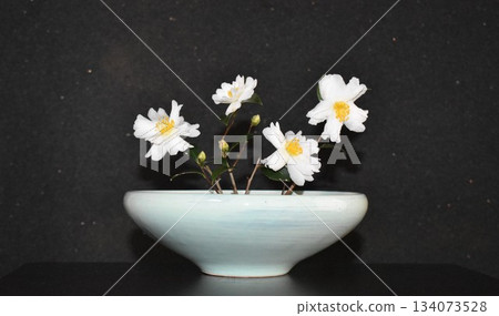 山茶花花束,白色山茶花 山茶花花束,白色山茶花 134073528